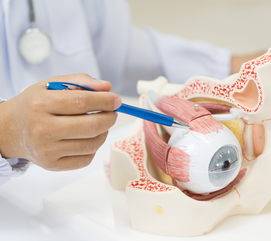 augenarztpraxis-glorius-soemmerda-thueringen03