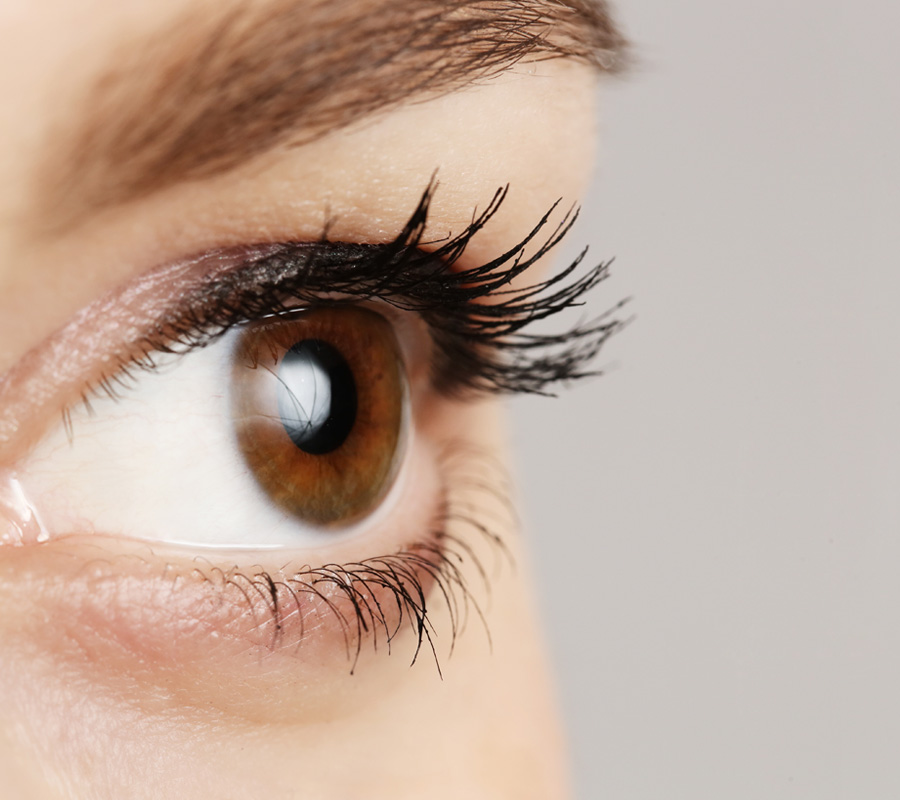 augenarztpraxis-glorius-soemmerda-thueringen04